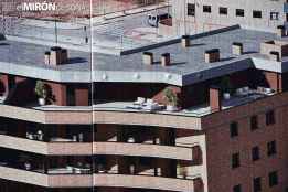 Eso de las notificaciones, inundaciones y Pajaritos Eso de las notificaciones, inundaciones y Pajaritos