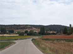 Valdenebro pide ayuda a la Junta para devolver la voz a sus montes Valdenebro pide ayuda a la Junta para devolver la voz a sus montes