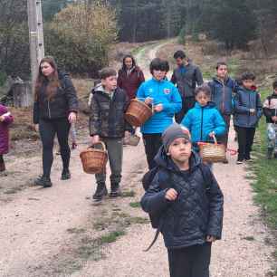 Intenso programa en Navaleno en la nueva edición de Tiempo de Setas 