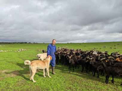 Pastorear más y mejor: ciencia, territorio y tradición para mantener vivo el paisaje rural Pastorear más y mejor: ciencia, territorio y tradición para mantener vivo el paisaje rural