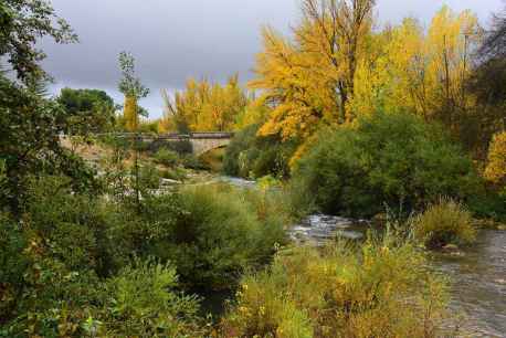 Paseo otoñal junto al río Ucero, en el paraje de la Güera Paseo otoñal junto al río Ucero, en el paraje de la Güera