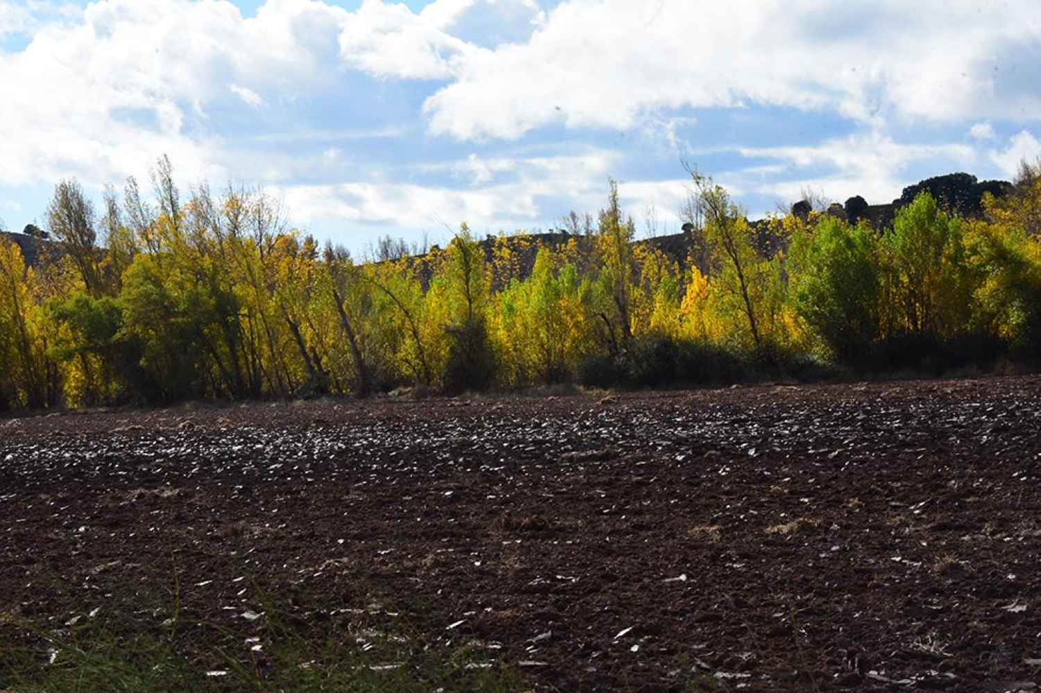 Paseo otoñal junto al río Duero en San Esteban de Gormaz