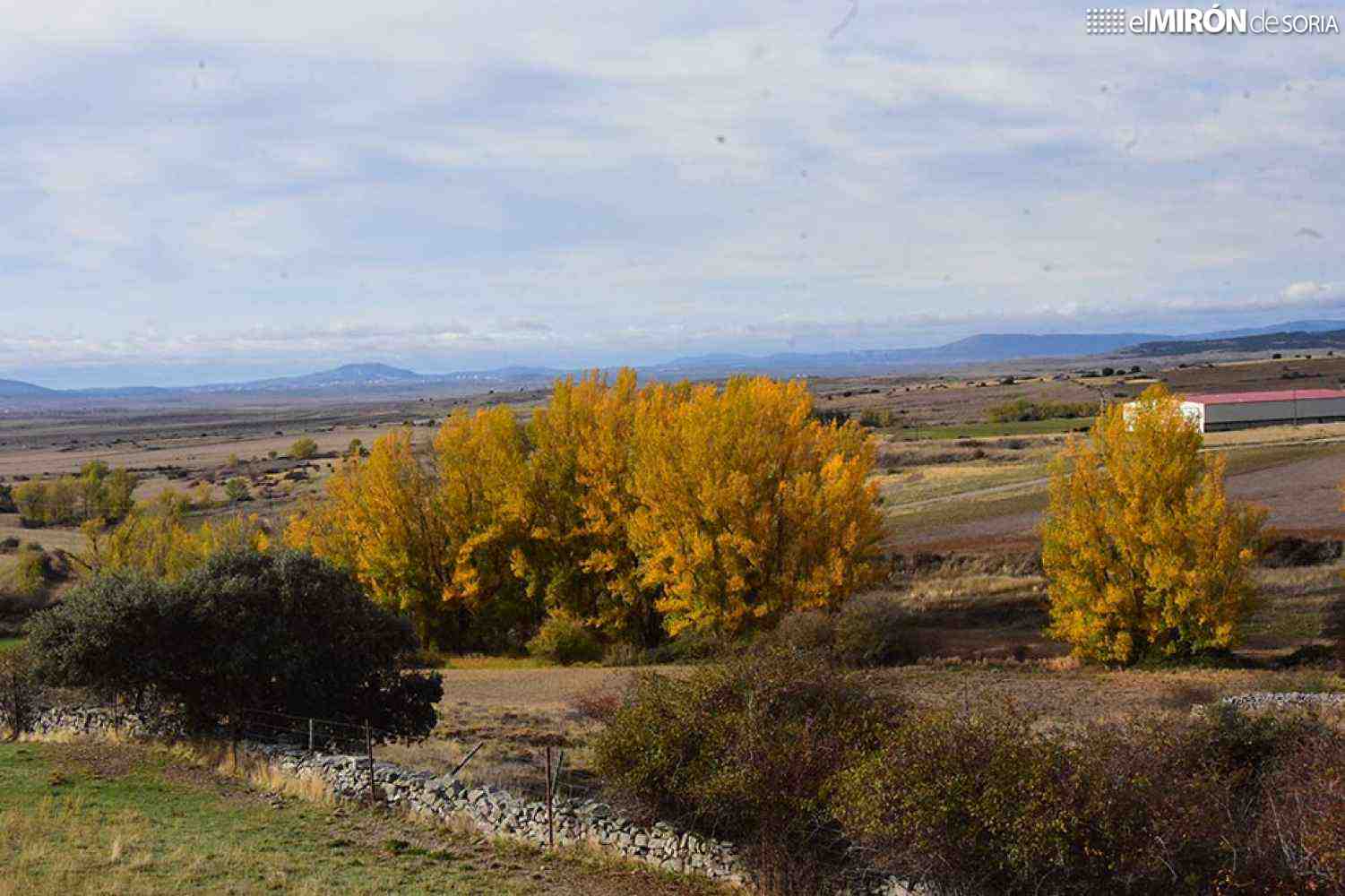 Casi 400.000 euros adjudicados para mejorar masas forestales en la provincia