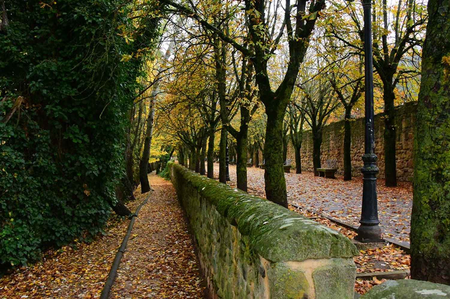 Muralla medieval de Soria, junto al Duero, en otoño