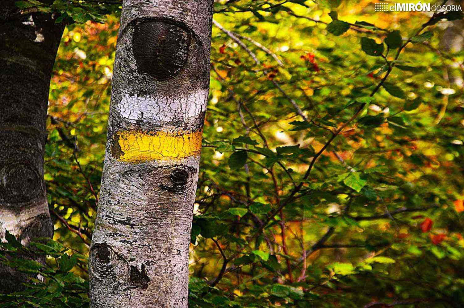 Ágreda desvela ganadores de Rally Fotográfico y Certamen Literario