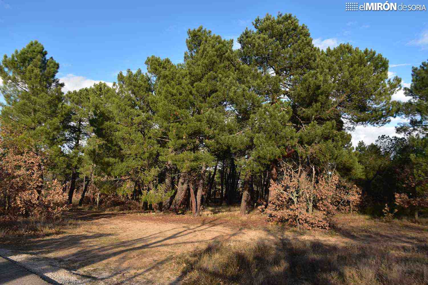 EXPO AIRE reconoce a ASFOSO con el Premio Territorio Sostenible