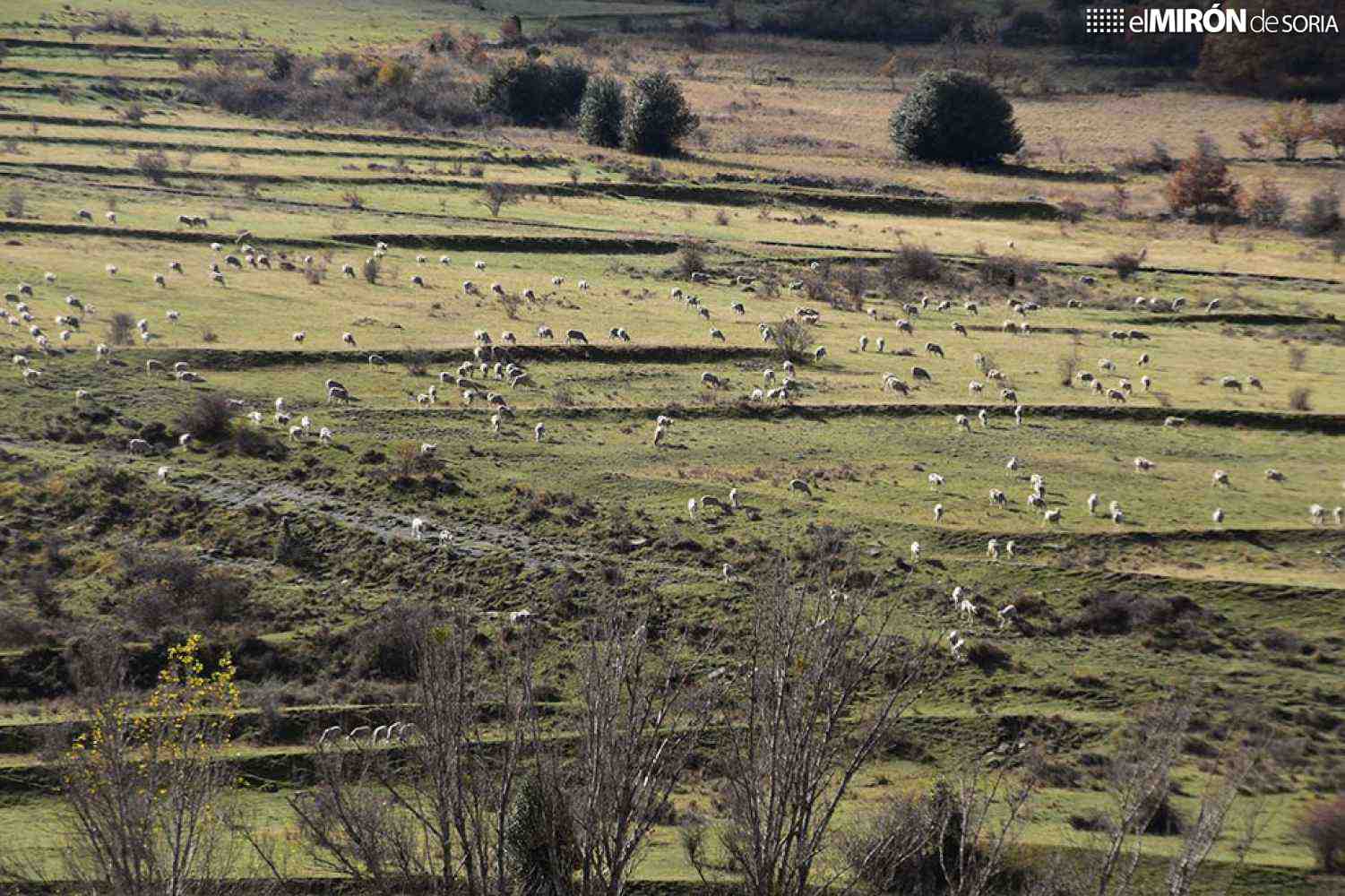 Las tres zonas con mayor riesgo de incendios en la provincia de Soria