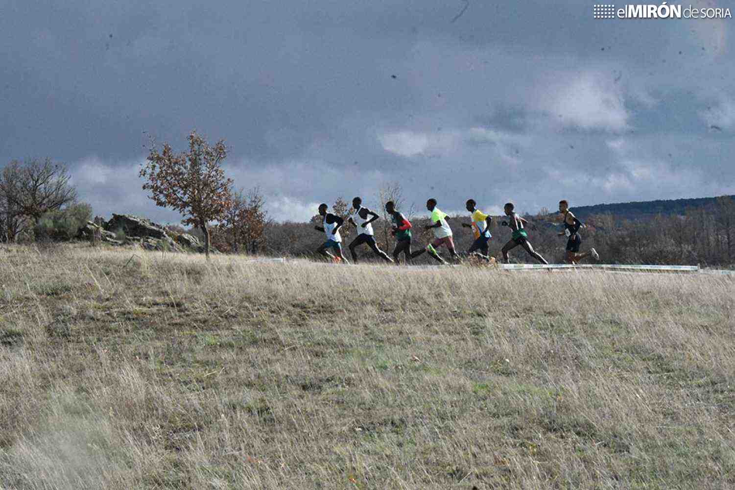 Los atletas sorianos se cuelgan medallas en cross de Atapuerca