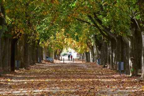 Un paseo otoñal por la Dehesa de Ágreda