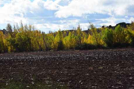 Paseo otoñal junto al río Duero en San Esteban de Gormaz