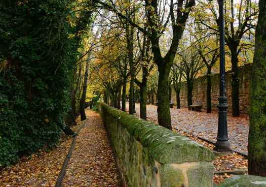 El proyecto BRERA presenta resultados del inventario de Biodiversidad en Soria
