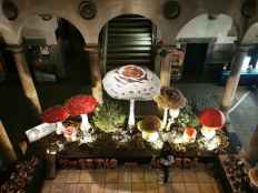 Ágreda celebra nueva edición de sus Jornadas Micológicas