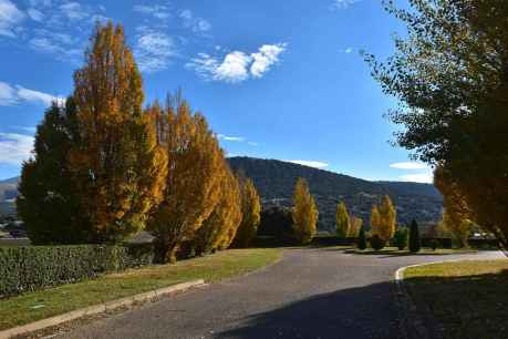 Paseo otoñal por la via verde de Ólvega que conduce a la Mina Petra