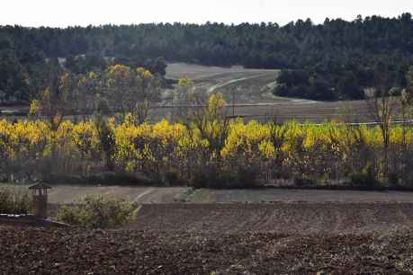 Paisajes otoñales desde Rioseco de Soria a Bayubas de Abajo