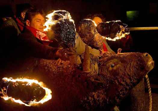 La Junta abre plazo para alegaciones a declaración BIC del toro jubilo de Medinaceli