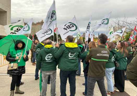 CSIF lamenta decreto que no aborda problemas estructurales del operativo de incendios 