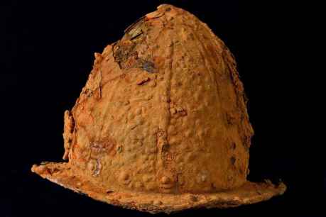 Hallazgo de armaduras del siglo XVI  en Palacio de Avellaneda de Peñaranda de Duero