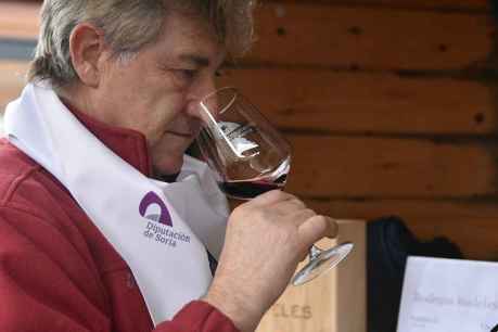 Diputación celebra la IV Feria del Vino en Soria