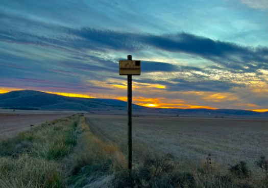 El control biológico del topillo campesino llega al valle del Rituerto 