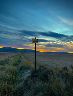 El control biológico del topillo campesino llega al valle del Rituerto 