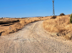 Quintanas Rubias de Arriba urge asfaltado de camino que le une con Montejo de Tiermes