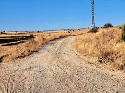 Quintanas Rubias de Arriba urge asfaltado de camino municipal que le une con Montejo de Tiermes