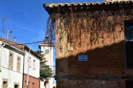 Bayubas de Abajo, rodeado de pinares