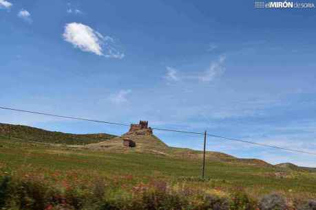 Abierto plazo para adjudicación directa de fincas rústicas en Arcos de Jalón