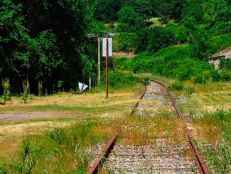 Izquierda Unida prioriza recuperar dos corredores ferroviarios suprimidos en Castilla y León