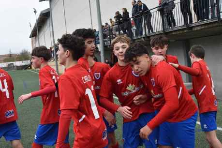 Liga provincial cadete de fútbol: C.D. San José-Numancia