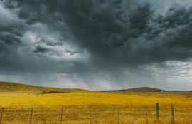 Agroseguro supera por primera vez millón de hectáreas declaradas con siniestro a causa de tormentas 