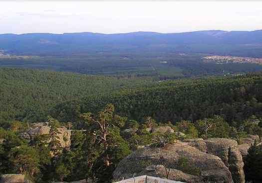 El juzgado respalda al Ayuntamiento de Covaleda en gestión de los aprovechamientos forestales 