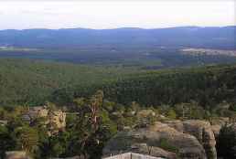 El juzgado respalda al Ayuntamiento de Covaleda en gestión de los aprovechamientos forestales 