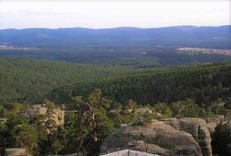 El juzgado respalda al Ayuntamiento de Covaleda en gestión de los aprovechamientos forestales 