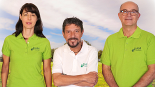 IAM Carbonzero impulsará en Ágreda una planta de biometano 