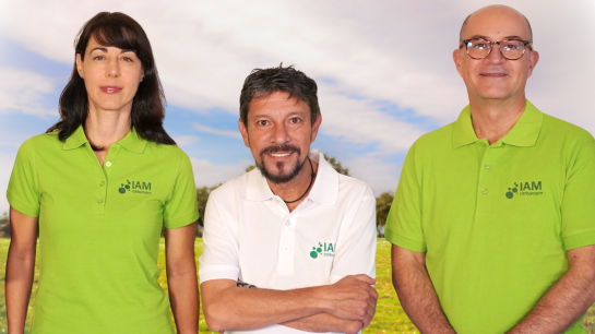 IAM Carbonzero impulsará en Ágreda una planta de biometano 