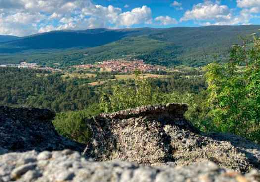 La venta de madera genera en Covaleda casi 9 millones en siete años