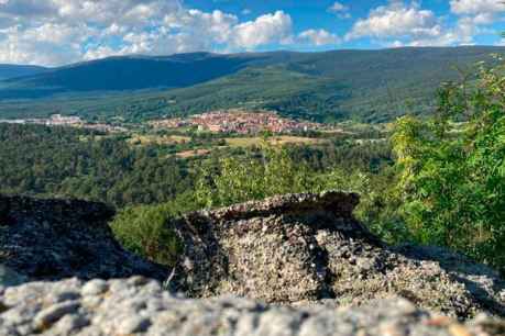 La venta de madera genera en Covaleda casi 9 millones en siete años