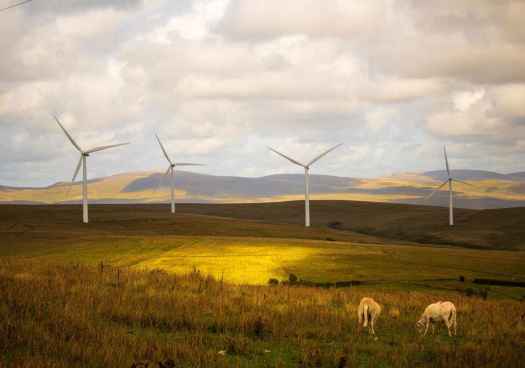 La Cámara defiende que proyectos energéticos beneficien a territorios donde se asientan