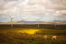 La Cámara defiende que proyectos energéticos beneficien a territorios donde se asientan