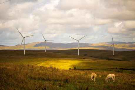 La Cámara defiende que proyectos energéticos beneficien a territorios donde se asientan