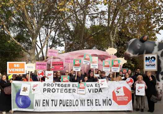 Presencia soriana en Madrid en concentración contra ganaderia industrial  