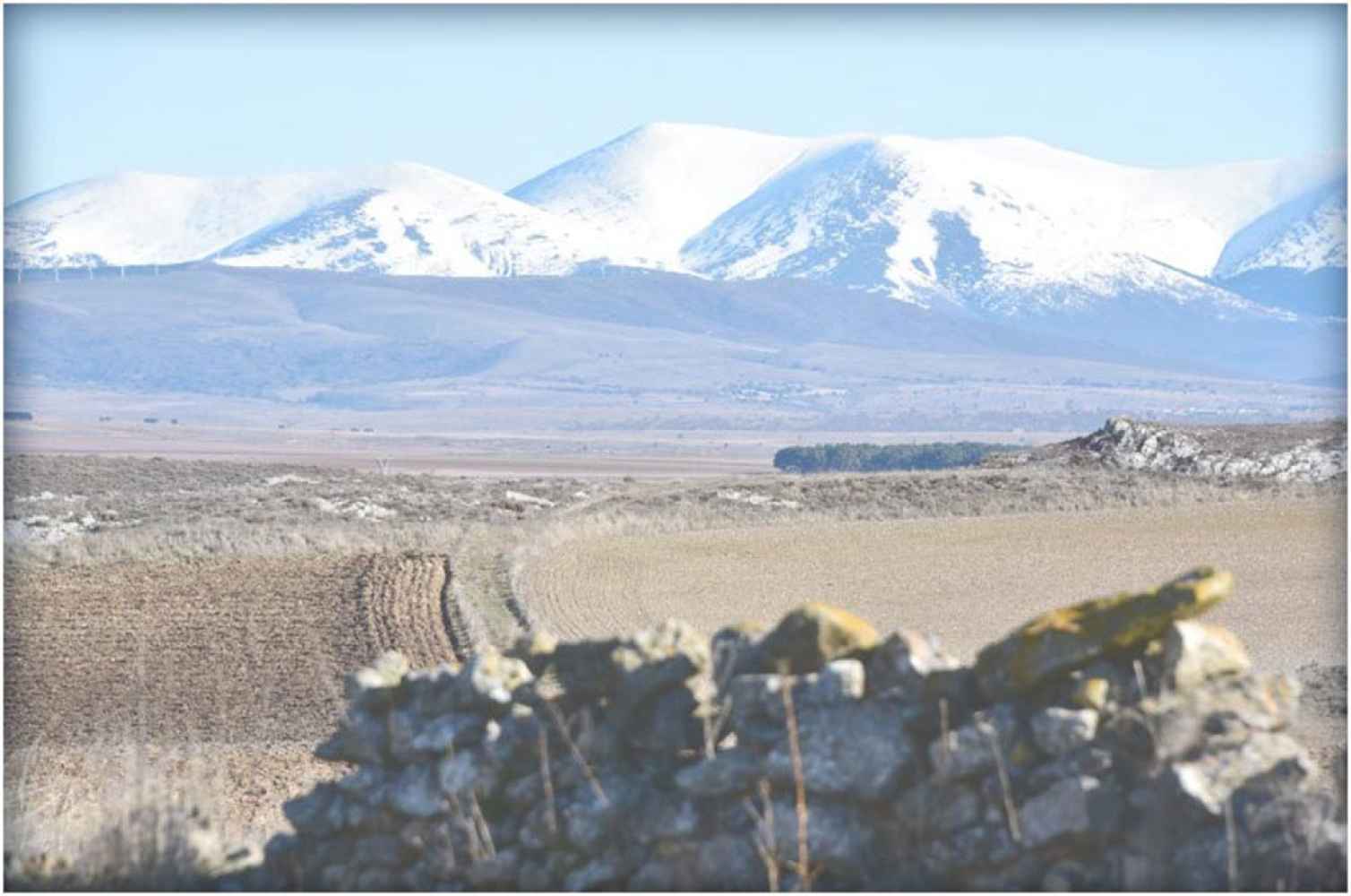 Soria felicita la Navidad 2025