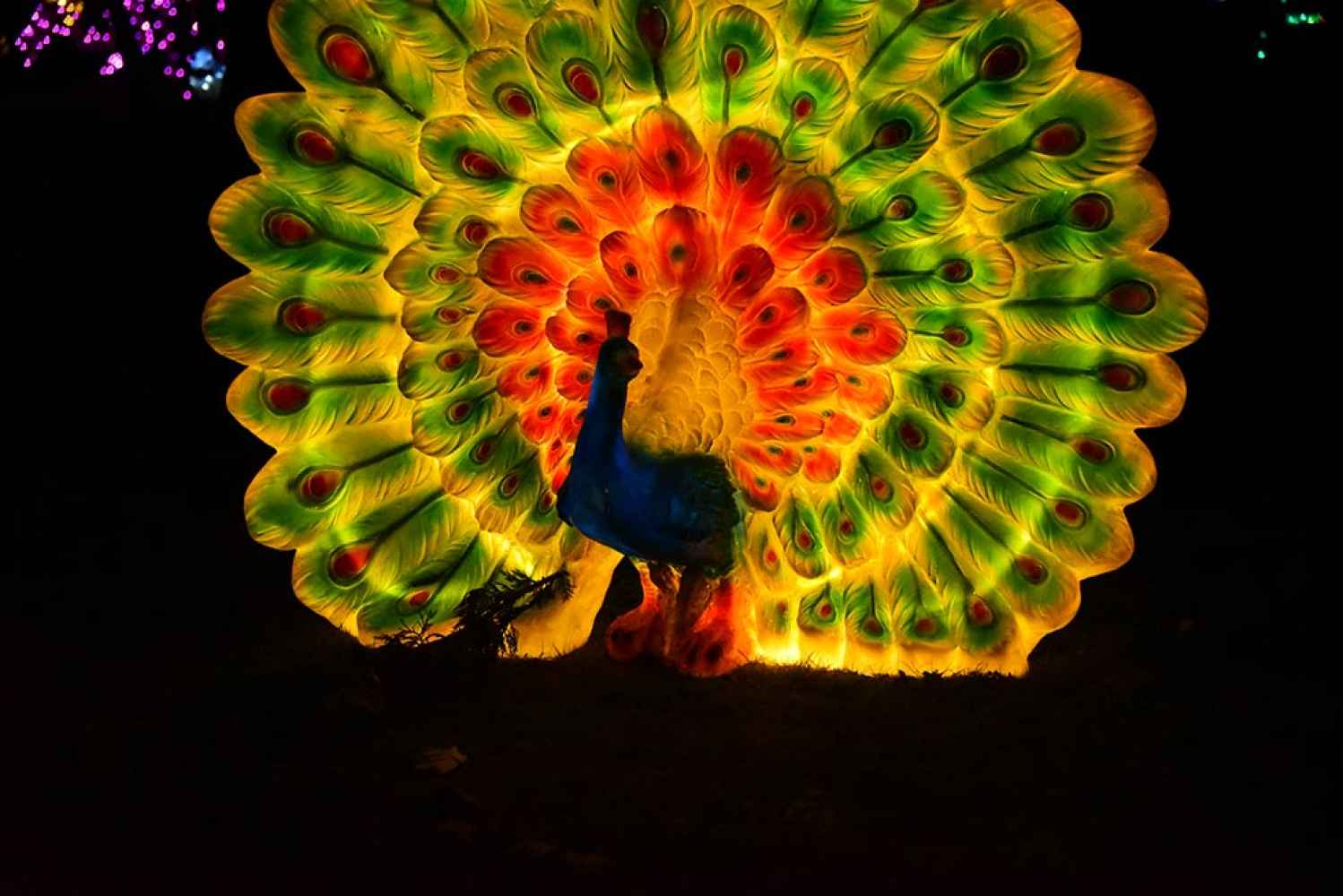 La Dehesa de Soria se viste de Navidad gracias al zoo de animales luminosos