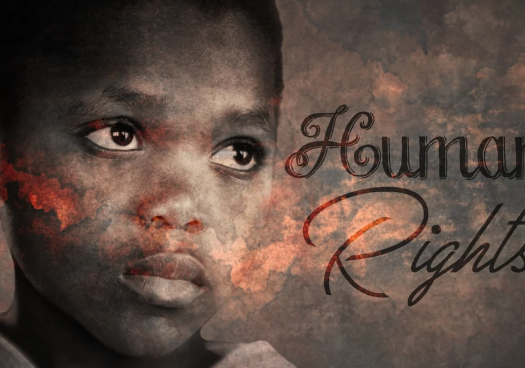 El Colegio Oficial de Trabajo Social de Soria celebra el Día de los Derechos Humanos