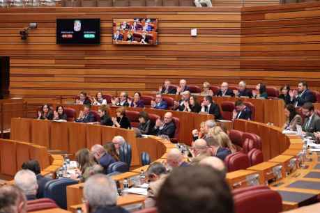 El Partido Castellano pide derogar nueva Ley de Publicidad Institucional, nacida del desconocimiento