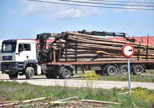 El Gobierno licita por 1,3 millones la mejora del acceso a Cabrejas del Pinar 