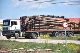 El Gobierno licita por 1,3 millones la mejora del acceso a Cabrejas del Pinar 