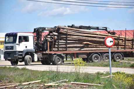 El Gobierno licita por 1,3 millones la mejora del acceso a Cabrejas del Pinar 