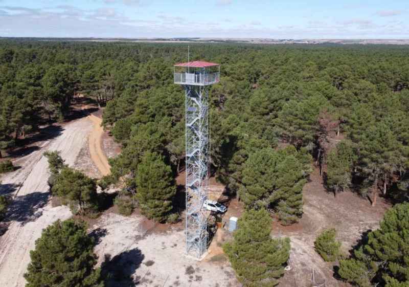 El PSOE denuncia la falta de agentes medioambientales en la comarca de Pinares